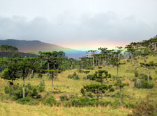Brazil-Santa Catarina-Southern Cross Fazendas Ride